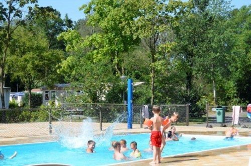 Ferienpark Bronckhorst in Gelderland mit Schwimmbad